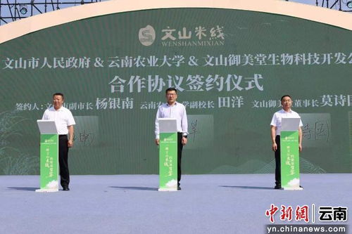 科技賦能傳統(tǒng)美食 云南農(nóng)業(yè)大學(xué)科研助力文山米線產(chǎn)業(yè)升級紀(jì)實